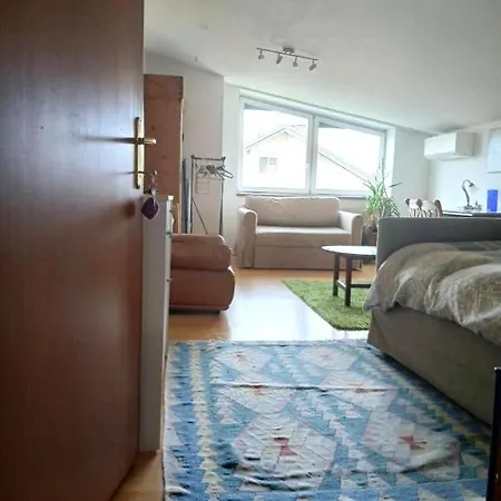 Gaisberg View Apartament